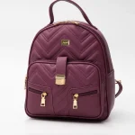 FE51 bordo